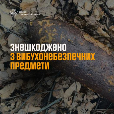 На Тернопільщині знешкодили три боєприпаси