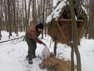 На Тернопільщині для диких тварин створюють солонці