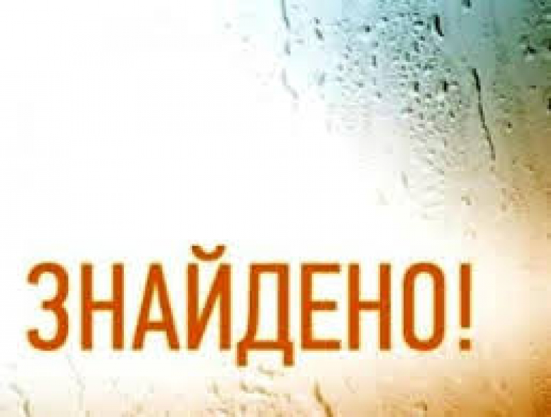 На Тернопільщині розшукали жінку, яка три дні не виходила на зв&#039;язок з рідними