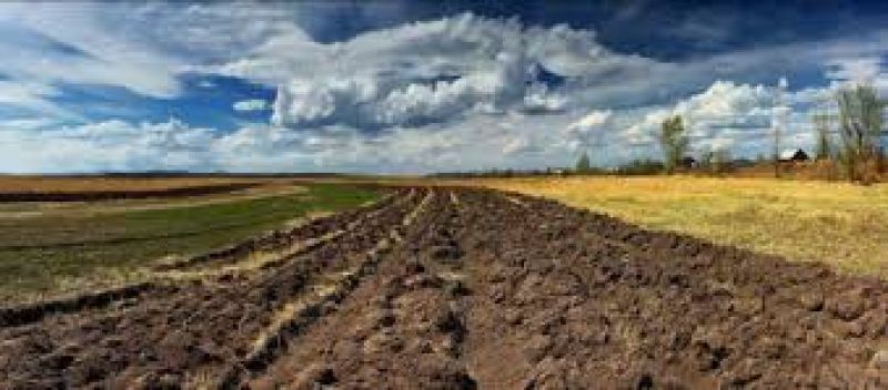 Одній із громад на Тернопільщині повернули землі, які незаконно використовувало агропідприємство
