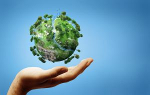 Майже 60 млн грн збитків завдано довкіллю Тернопільщини