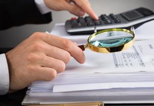 Фінансові махінації з агростатусом: податкова Тернопільщини розкрила схему