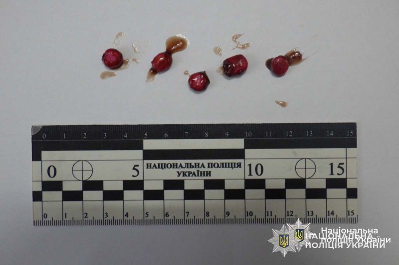 На Тернопільщині поліцейські перехопили посилку з забороненими речовинами