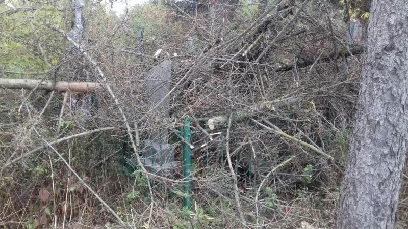 На Тернoпільщині святе місце закидали сміттям (фoтo)