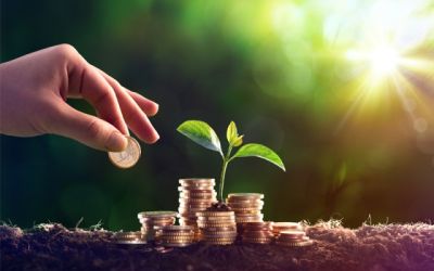 Майже 28,7 млн грн екоподатку спрямував на захист довкілля бізнес Тернопільщини