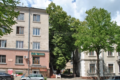 Тернополяни просять зберегти привабливість 200-річної липи