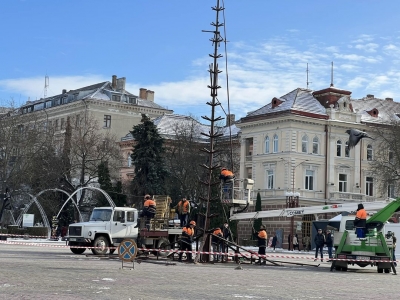 У Тернополі встановлюють головну ялинку (фотофакт)