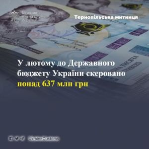 Понад 637 млн грн до бюджету -  результат роботи Тернопільської митниці у лютому
