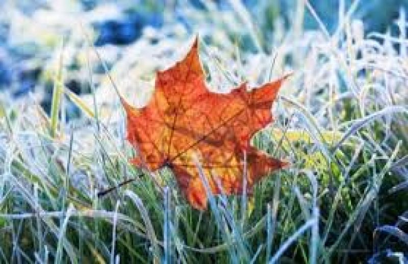 Вночі на Тернопільщині прогнозують до 5 градусів морозу