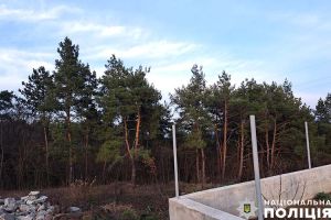 Чому 18-річний житель Тернопільщини пропонував хабар поліцейським?