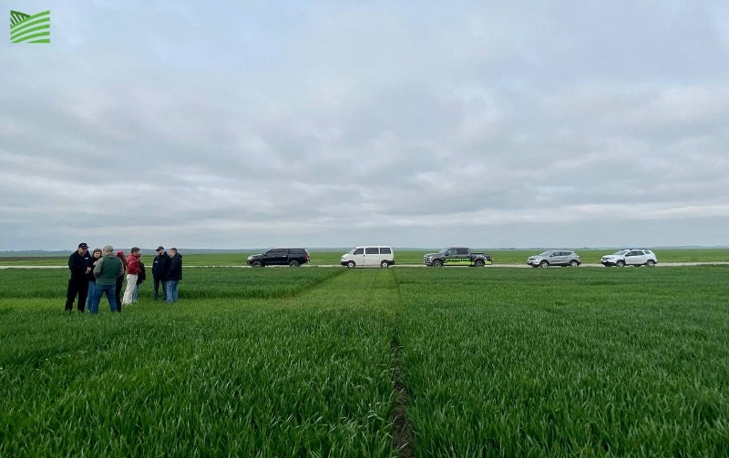 На полях «Агропродсервісу» головна культура – соя, її засіяли майже 7 500 га