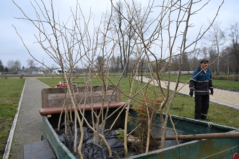 У лановецькому парку висадили 100 саджанців рослин