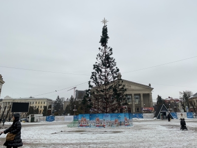 У Тернополі завершують демонтаж головної ялинки міста (фото)