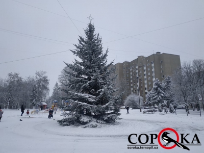 У Тернополі на «Східному» встановили головну ялинку масиву (фотофакт)