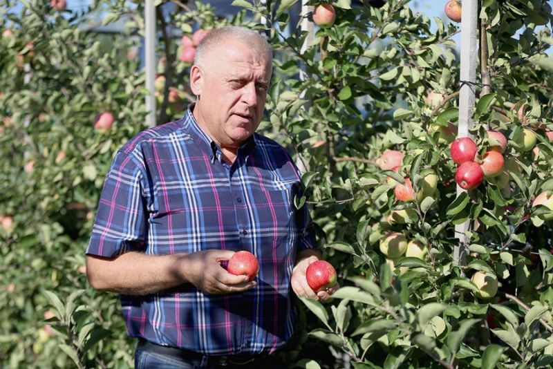 Фермерське господарство «ГАДЗ» цього року сплатило понад 10 млн грн податків