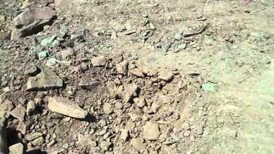 Одрaзу вісьмох осіб зaсудили зa злодіяння нa Тернопільщині