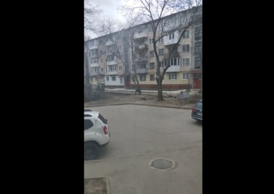 У Тернополі невідомі зрізають дерева (відео)