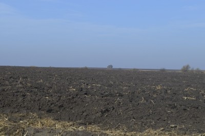 На Тернопільщині секретар сільради підробила витяг рішення сесії та привласнила понад 1 га землі