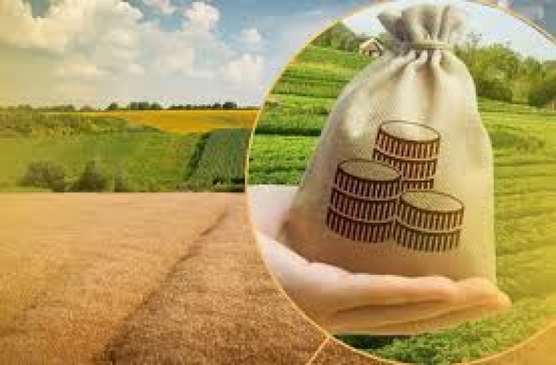 До місцевих бюджетів громад Тернопільщини надійшло 61,5 млн грн плати за землю