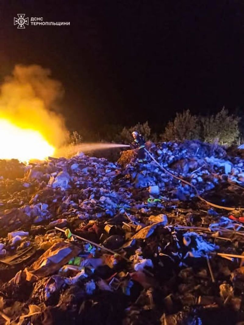 На Тернопільщині від вогню врятували 53 гектари пшениці та 3 гектари лісу