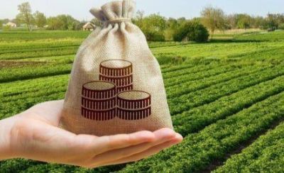 Плата за землю принесла громадам Тернопільщини понад 163 млн грн 