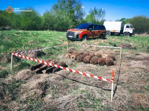 У Тернопільській області вилучили та знищили 21 вибухонебезпечний предмет