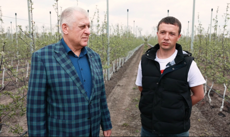 У господарстві «ГАДЗ» на Бучаччині висадили Сад перемоги (відео)