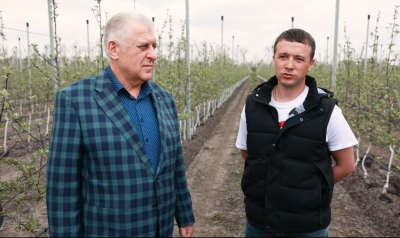 У господарстві «ГАДЗ» на Бучаччині висадили Сад перемоги (відео)