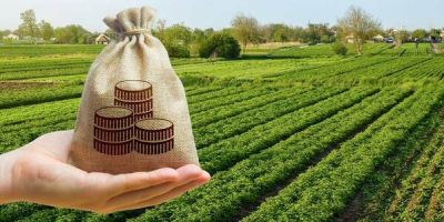 До бюджету Тернопільщини надійшло понад 140 млн грн земельної плати 