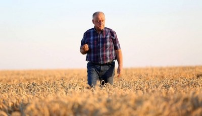Підприємства Петра Гадза у 2017 році стали бюджетоформуючими