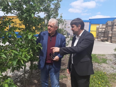 На Тернопільщині відкриють завод з виробництва соків, джемів, пюре та дитячого харчування (фото)