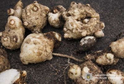 Тернополянка втратила 60 тисяч гривень