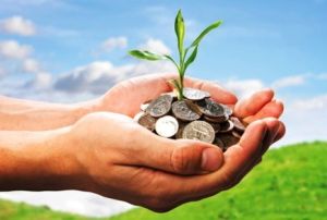 Понад 35,5 млн грн – внесок бізнесу Тернопільщини у збереження довкілля