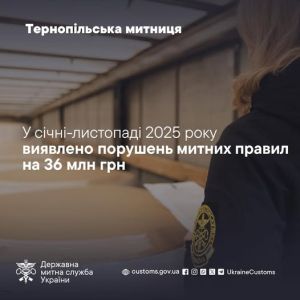 Від незадекларованих товарів до маніпуляцій зі строками: тернопільські митники викрили порушень на 36 млн грн