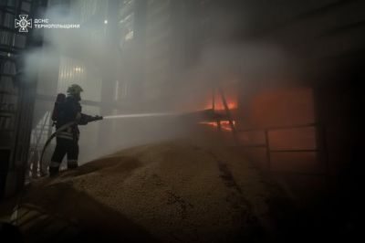 На Тернопільщині ліквідували дві масштабні пожежі