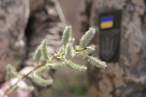 Тернопільські військові освятили вербове гілля