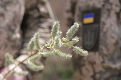 Тернопільські військові освятили вербове гілля