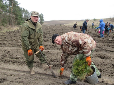 На Тернопільщині озеленюють один із найбільш розораних районів (фото)