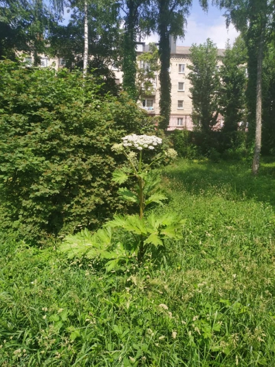 Біля відомого тернопільського ресторану на містян чатує небезпека (фотофакт)