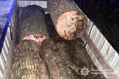 Жителя Тернопільщини підозрюють у незаконній порубці дерев на території зоологічного заказника