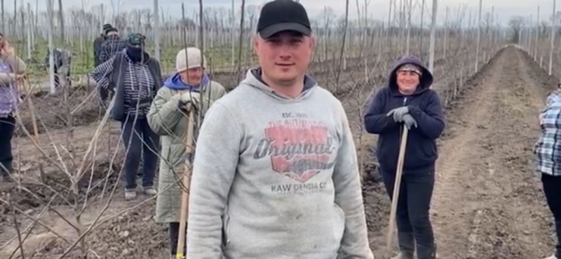 Фермерське господарство «ГАДЗ» цього року висадить 250 тисяч дерев нового саду (відео)