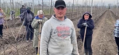 Фермерське господарство «ГАДЗ» цього року висадить 250 тисяч дерев нового саду (відео)
