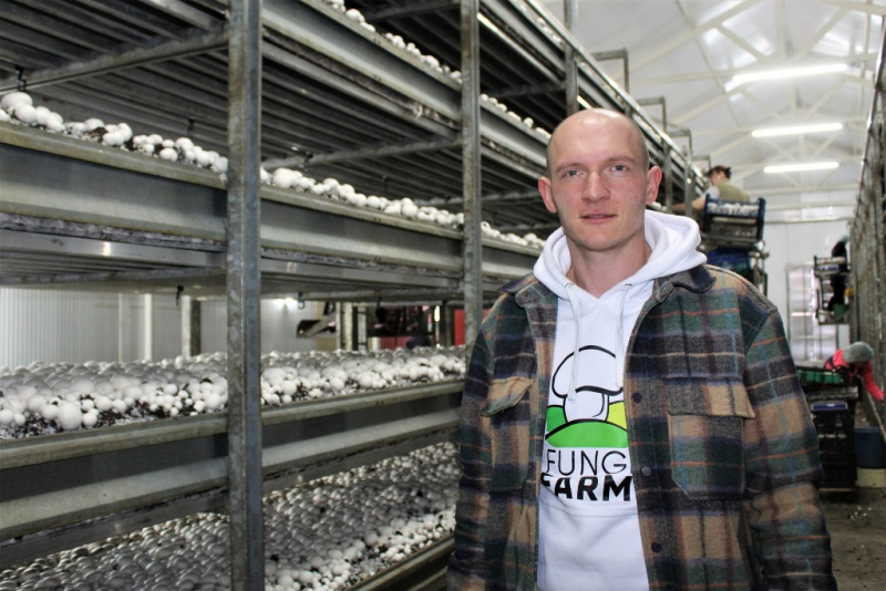 Ферма печериць Fungi Farm з Тернопільщини перемогла у конкурсі «Курс на незалежність»
