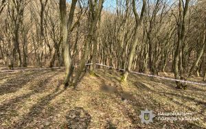 На Чортківщині чоловік загинув через детонацію предмета часів Другої світової війни