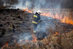 За два дні на Тернопільщині спалахнуло 29 пожеж, більшість - через підпали сухої трави