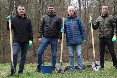 У тернопільському парку висадили сливи «Піссарді» (фоторепортаж)