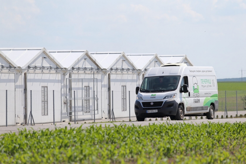 Ферма Fungi Farm на Тернопільщині стає більш самодостатньою у споживанні електроенергії