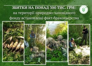 На території природно-заповідного фонду виявлено незаконний вилов риби у період нересту