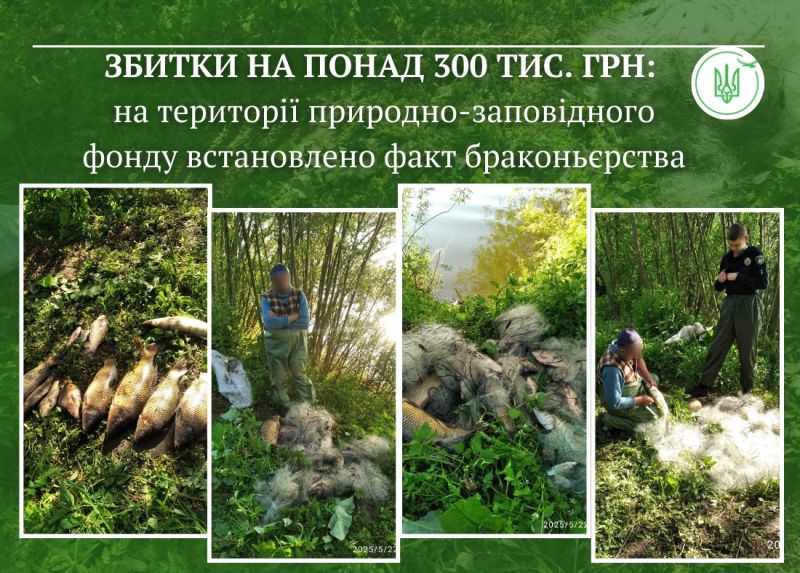 На території природно-заповідного фонду виявлено незаконний вилов риби у період нересту